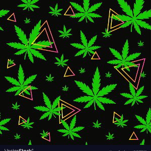 “WEED & WHISKEY” Dolby final edit