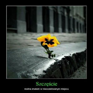 ML PAZI - Łapie Szczęście 