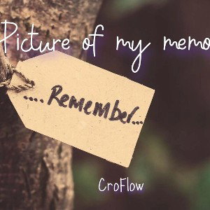 CroFlow - Picture of my memory
