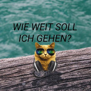 Sanji - Wie weit soll ich gehen?
