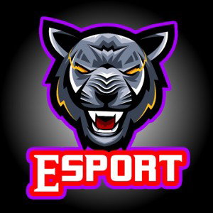 Maxi  Esport