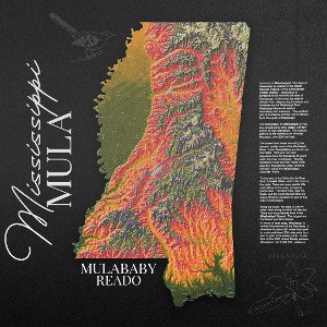 MS Mula