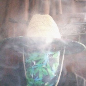 trippi g in the smokezone