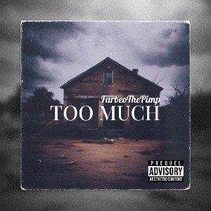 TOO MUCH 