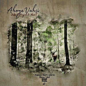 Ahoye Vahshi - Prod By Amir T