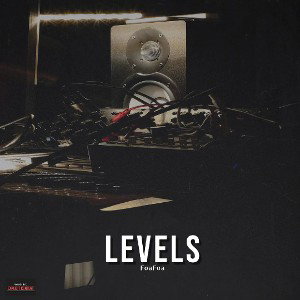 Levels