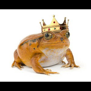 AmPhiBiaN