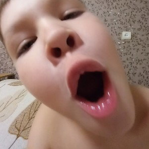 пельмень