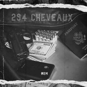 294 cheveaux 🏎️