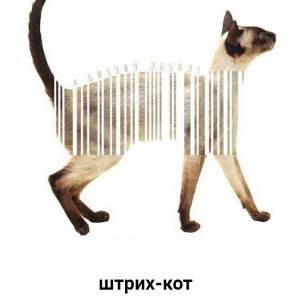 ПУТАНА 2