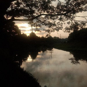 Just_Nekhat - Solo 