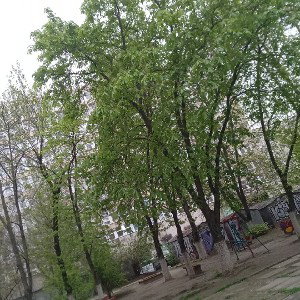  Мой город
