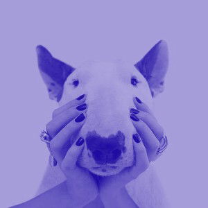 "C.A.N.E. S.T.R.E.E.T- Cartel" (snippet) (Slowed + Reverb)