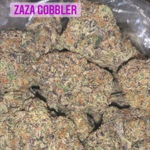 UnderdogZAZA🥶💨❄️