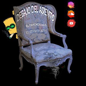 DEBAJO DEL ASIENTO