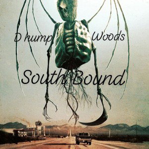 South bound D hump n woods 501  