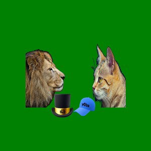 Leon y gato