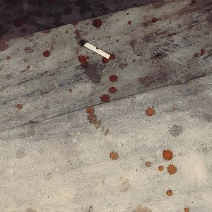 کارما فری استایل خفن