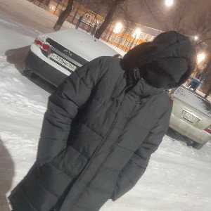 Фразы принесённые метелью