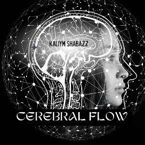 Cerebral Flow