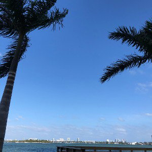 Here now