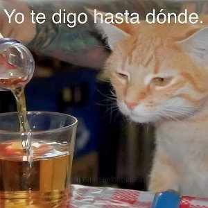 Desolación 