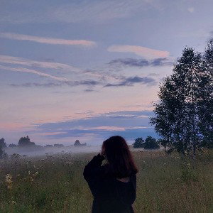 Чувства
