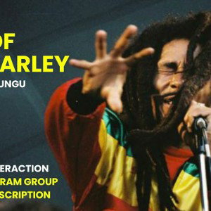 Vengo estilo Reggae