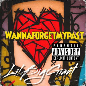 WannaForgeTMyPasT