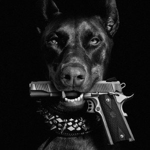 Abudu David Dog Us