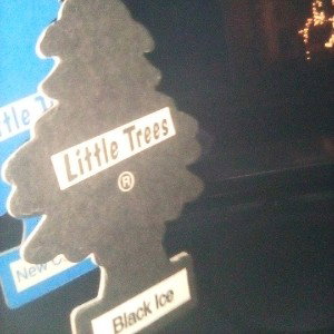 the tree specialist 