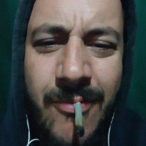 #colaboreishon