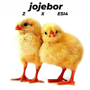 jojebor