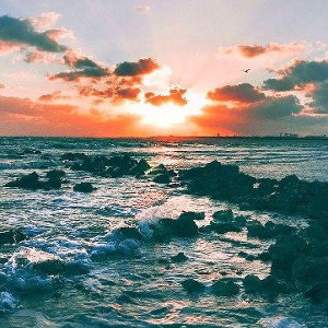 Summer Hit(Tournament Track)
