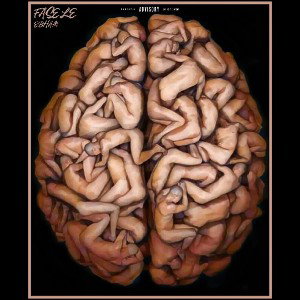FASELE 