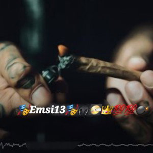 OK  👌🎭 EMSI13 🎭