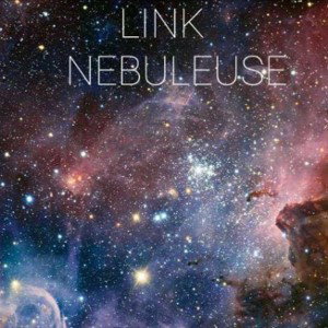 L.I.N.K