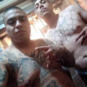 stilo rapa