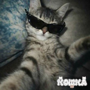 КОШКА