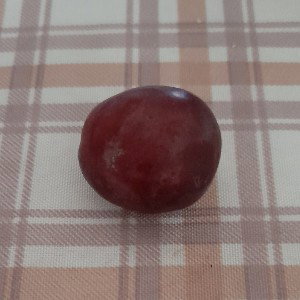 mambacione