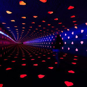 Tunnel of love 