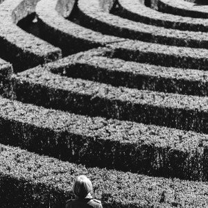 Searching Always 