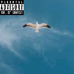 Fly