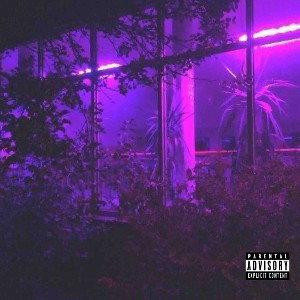 Splurgin freestyle W/mirxnoah 