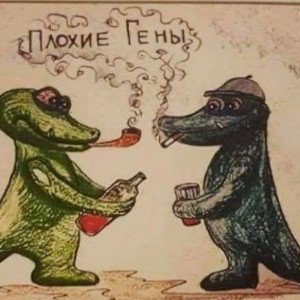 Galant- Не моё