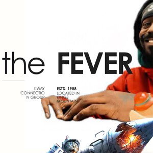 The FEVER