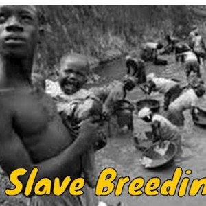  baron -  V - slaves we have brains (1895- 2022)