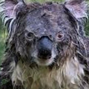 Los Pendejos del BARRIIOO 😎😓😎😎🧐🍷