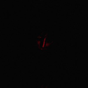 DOOMSDAY