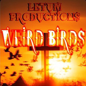 Weird Birds 